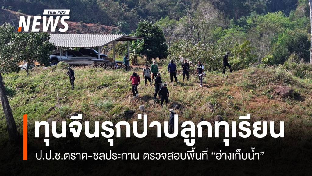 ทุนจีนบุกพื้นที่อ่างเก็บน้ำใน จ.ตราด “ปลูกทุเรียน” | Thai PBS News ข่าว ...