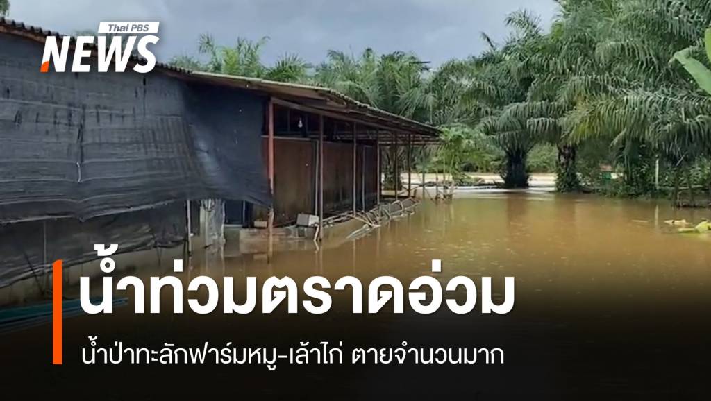 น้ำท่วมตราดอ่วม 3 อำเภอ น้ำป่าทะลักฟาร์มหมู-เล้าไก่ตายอื้อ | Thai PBS ...