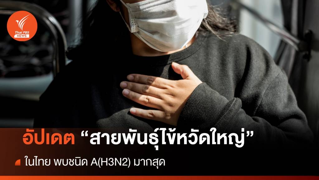อัปเดต "สายพันธุ์ไข้หวัดใหญ่" ในไทย | Thai PBS News ข่าวไทยพีบีเอส