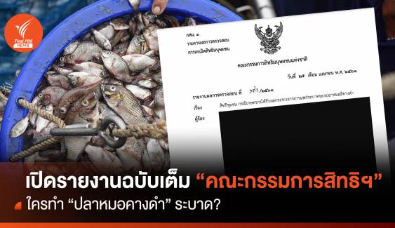 เปิดรายงานฉบับเต็ม "คณะกรรมการสิทธิฯ" ใครทำ "ปลาหมอคางดำ" ระบาด?