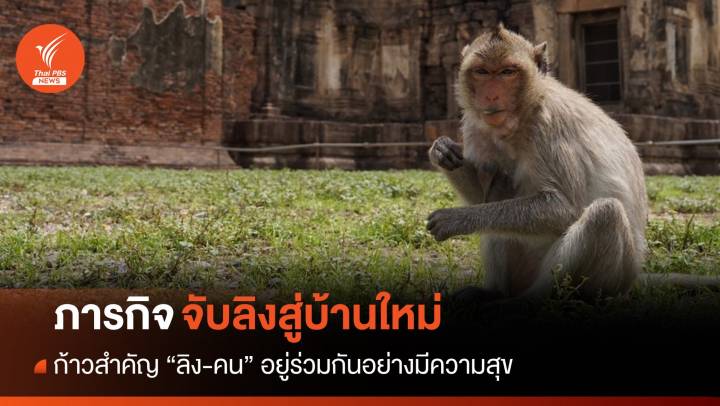 เปิดเบื้องหลัง! วันแยกย้าย "ลิง-คน" จับย้ายบ้าน ก่อนลพบุรีเป็นเมืองร้าง