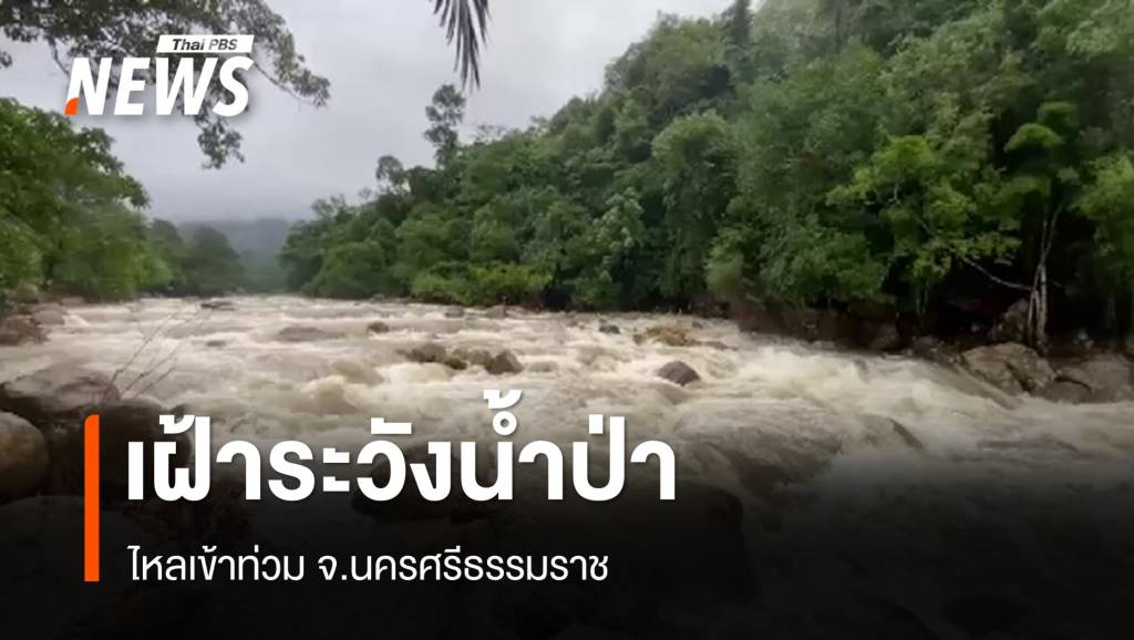 เฝ้าระวังน้ำป่าหลากเข้าท่วม จ.นครศรีธรรมราช ภัยพิบัติ 30 ธ.ค. 67 07:37 254