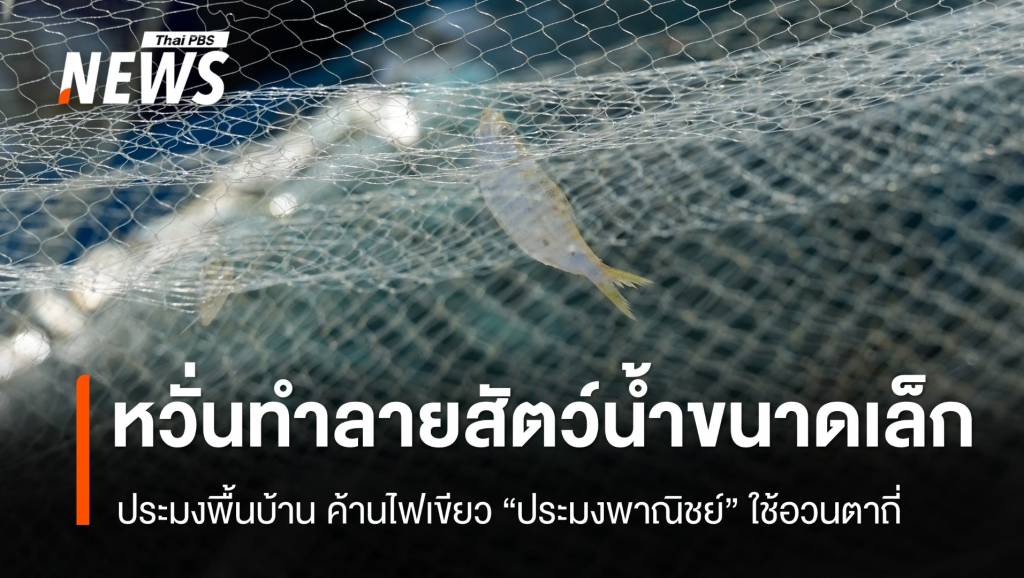 ประมงพื้นบ้าน หวั่นไฟเขียว “ประมงพาณิชย์” ใช้อวนตาถี่ ทำลายสัตว์น้ำ