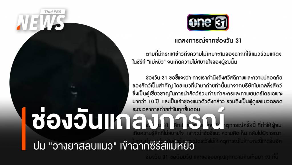 ช่องวันแถลงปม วางยาสลบแมว เข้าฉากซีรีส์แม่หยัว