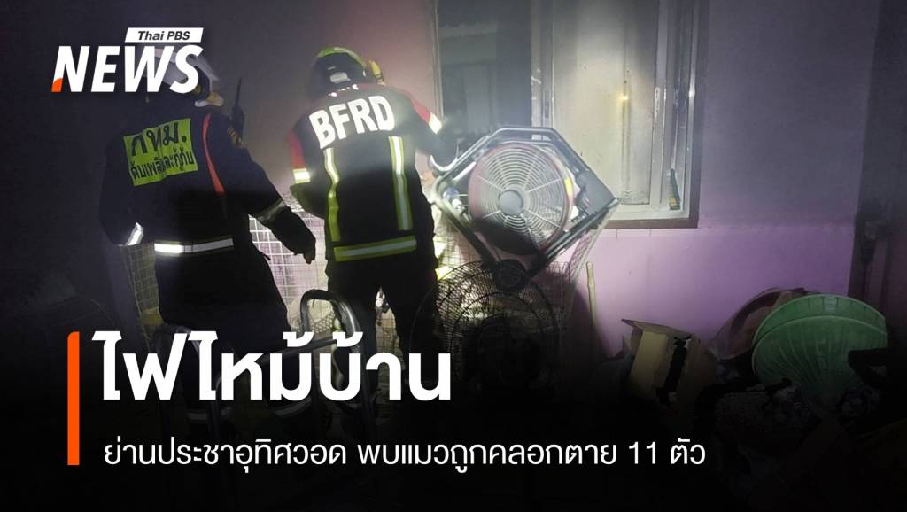 ไฟไหม้บ้าน ย่านประชาอุทิศวอด คลอกแมวตาย 11 ตัว | Thai PBS News ...