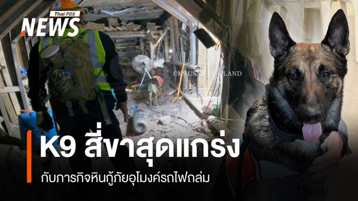 K9 สี่ขาสุดแกร่ง กับภารกิจหินกู้ภัยอุโมงค์รถไฟถล่ม