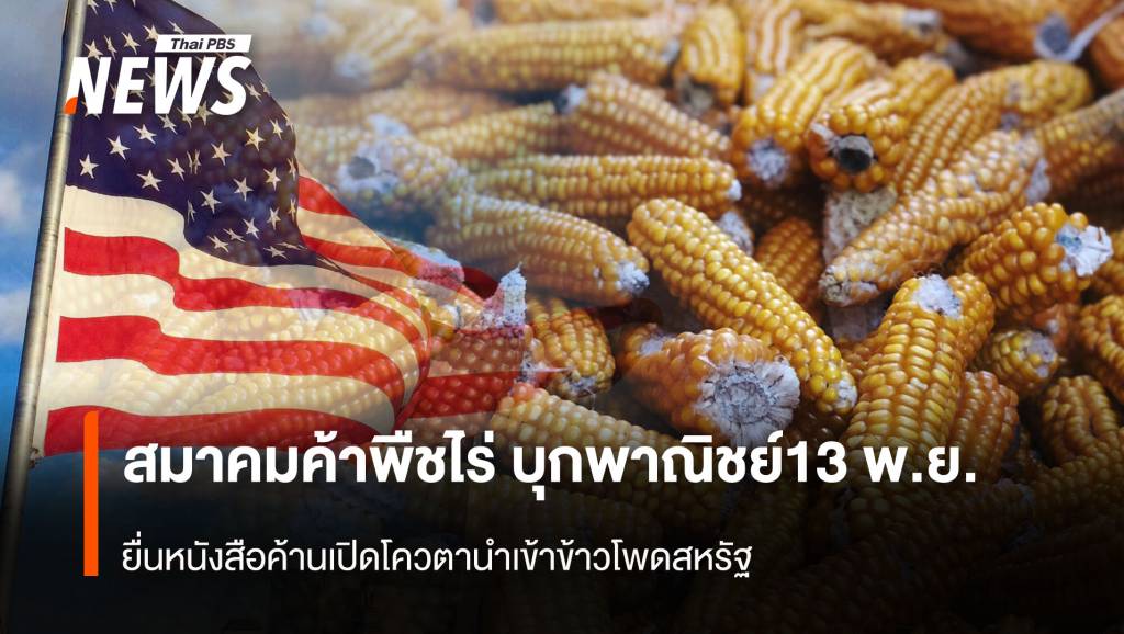 สมาคมค้าพืชไร่ บุกพาณิชย์ 13 พ.ย. ยื่นหนังสือค้านเปิดโควตานำเข้าข้าวโพดสหรัฐ