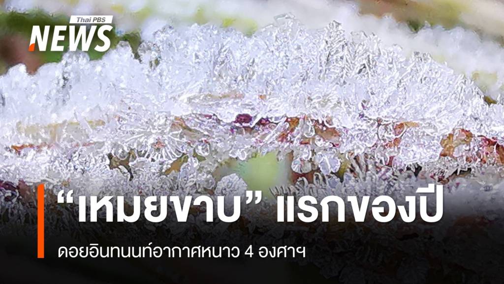 ดอยอินทนนท์ หนาว 4 องศาฯ เกิด &#8220;เหมยขาบ&#8221; แรกของปี
