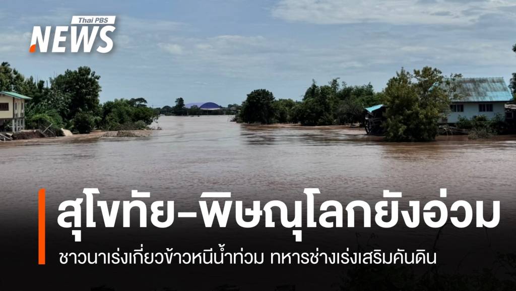 สุโขทัย-พิษณุโลกยังอ่วม ชาวนาเร่งเกี่ยวข้าวหนีน้ำท่วม