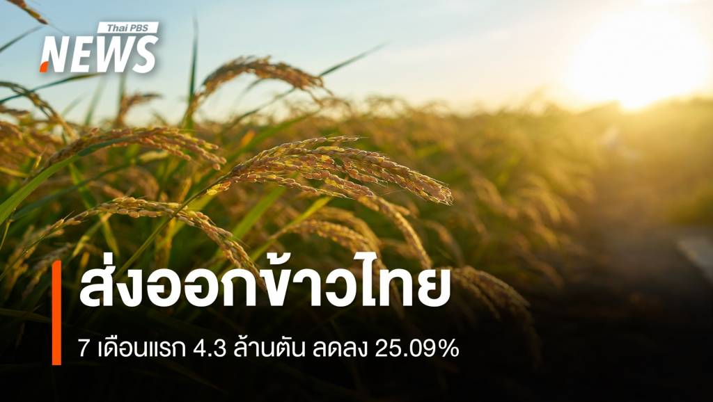 7 เดือนปี 68 ไทยส่งออกข้าว 4.30 ล้านตัน ดันยอดทั้งปีให้ได้ตามเป้า