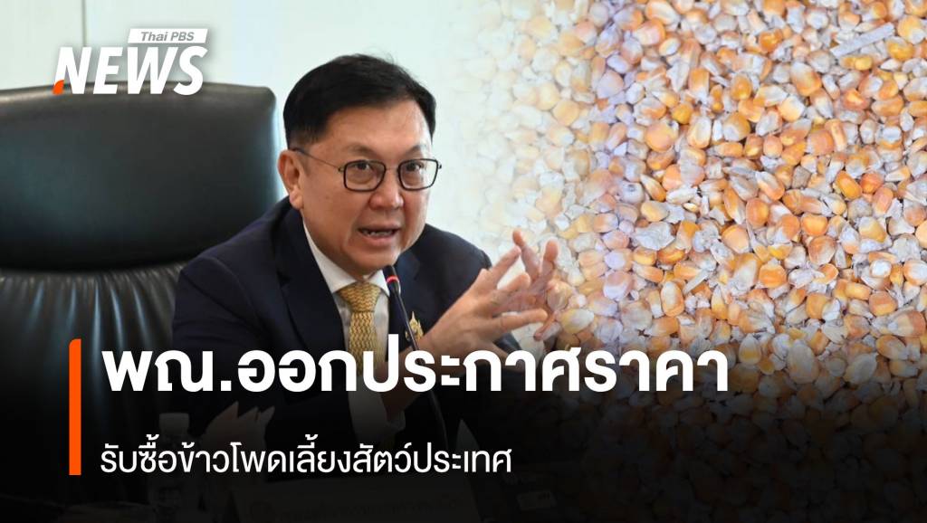 พณ.ออกประกาศราคา รับซื้อข้าวโพดเลี้ยงสัตว์ประเทศ