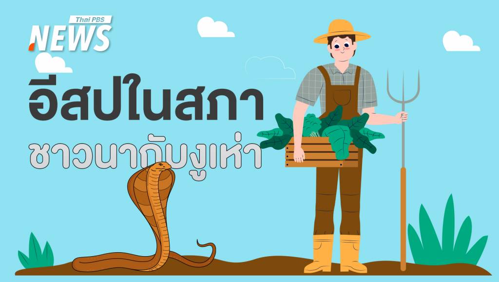อีสปในสภา! "งูเห่า" ฉายา สส. ย้าย "ภักดิ์" สะท้อนการเมืองไทย | Thai PBS ...