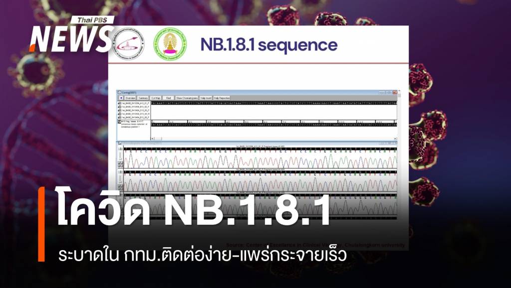 โควิด-19 สายพันธุ์ NB.1.8.1 ระบาดใน กทม. ติดง่าย แพร่เร็ว | Thai PBS ...