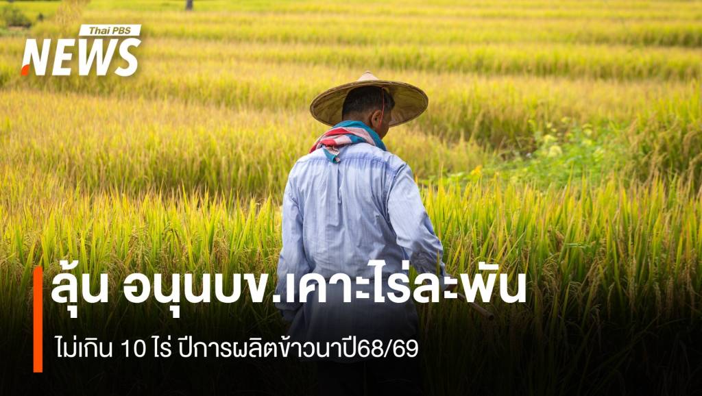 ลุ้น อนุนบข.เคาะไร่ละพัน ไม่เกิน 10 ไร่ ปีการผลิตข้าวนาปี68/69