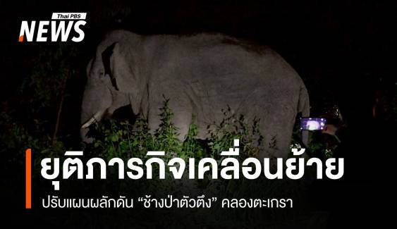 ยุติภารกิจเคลื่อนย้าย "ช้างป่าตัวตึง" คลองตะเกรา ปรับแผนผลักดันเข้าป่า 