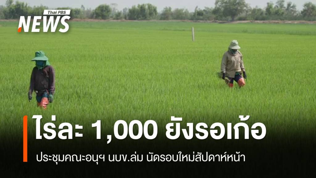 ประชุมคณะอนุฯ นบข.ล่ม ชาวนาโวยการเมืองไร้เสถียรภาพ