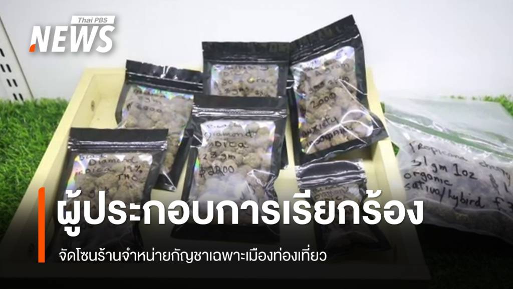 ผู้ประกอบการเรียกร้องจัดโซนร้านกัญชาเมืองท่องเที่ยว