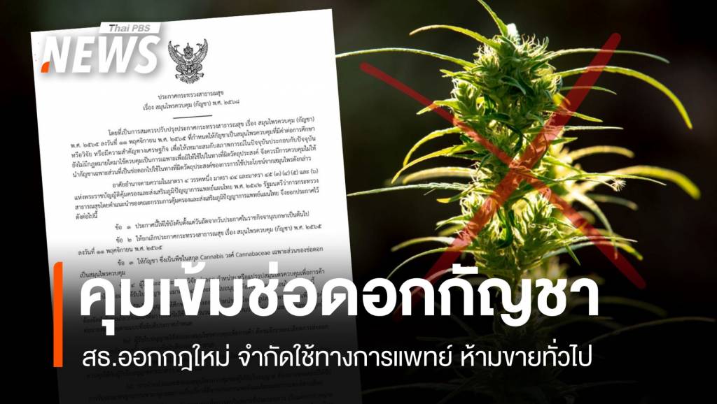 สิ้นสุดกัญชาเสรี! ประกาศใหม่ คุมช่อดอก ห้ามโฆษณา-ขายทั่วไป