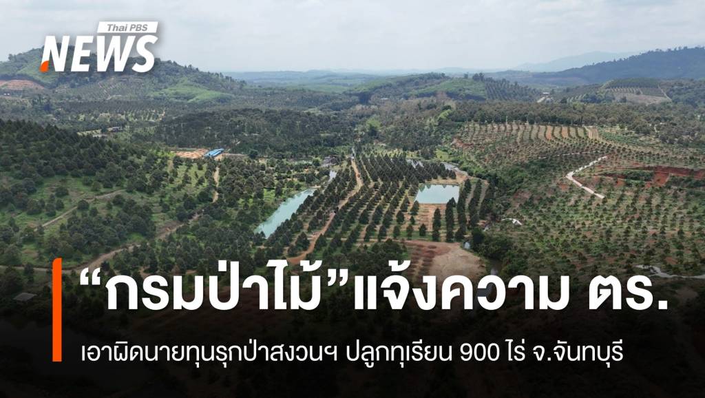 “กรมป่าไม้” แจ้งความ ตร.เอาผิดนายทุนรุกป่า ปลูกทุเรียนกว่า 900 ไร่
