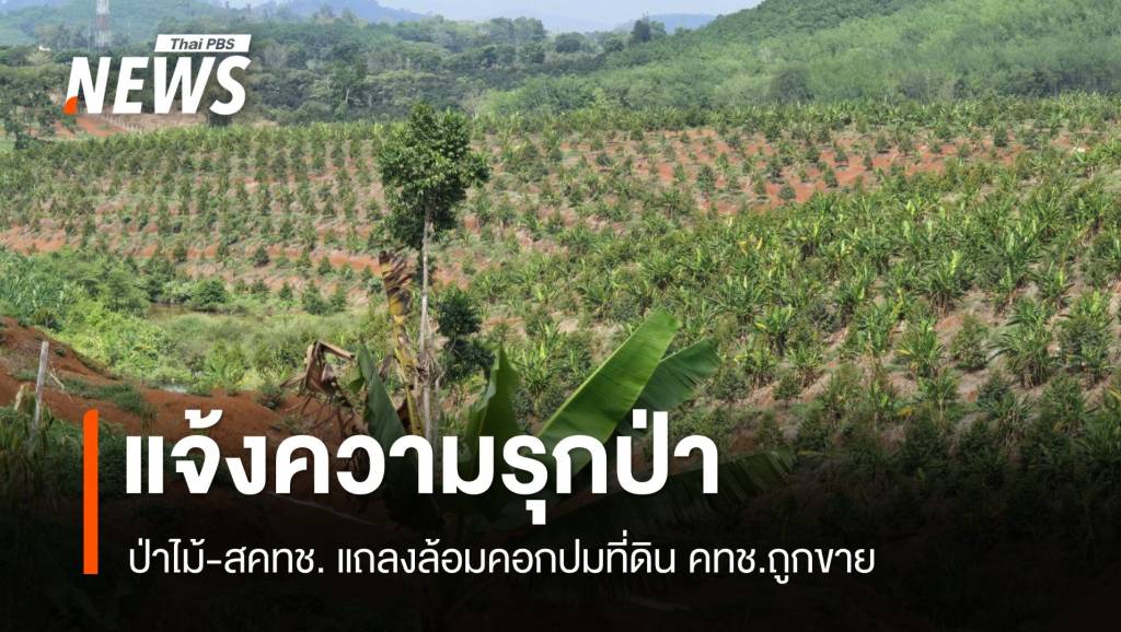 “ป่าไม้-สคทช.” แถลงครั้งแรกปม 2 บริษัททุนจีนรุกป่าสงวน 300 ไร่