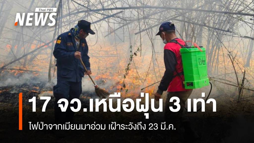 ช่วย 2 ลูกหมูป่าหนีไฟไหม้-เตือนฝุ่นเหนือวิกฤตถึง 23 มี.ค.