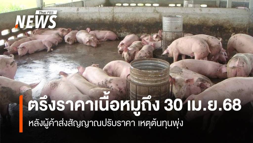 ตรึงราคาเนื้อหมูถึง 30 เม.ย. หลังผู้ค้าส่งสัญญาณปรับราคา เหตุต้นทุนพุ่ง ...