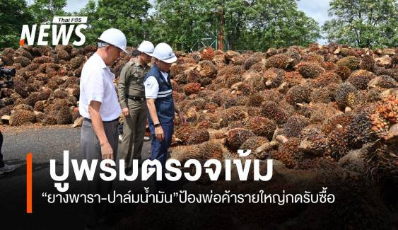 ปูพรมตรวจเข้ม “ยางพารา-ปาล์มน้ำมัน”ป้องพ่อค้ารายใหญ่กดรับซื้อ