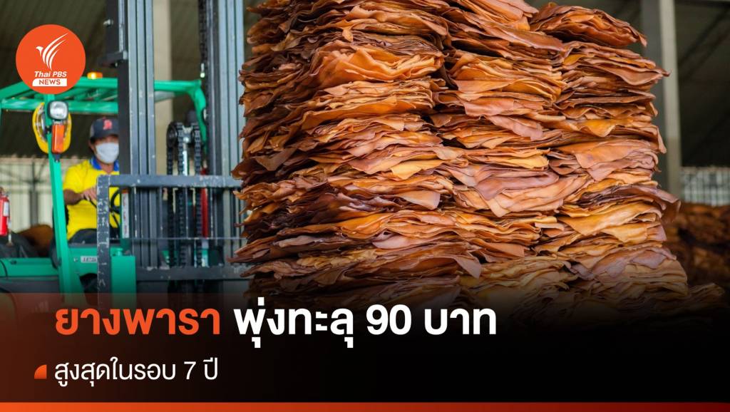 ยางพาราพุ่งทะลุ 90 บาท สูงสุดในรอบ 7 ปี | Thai PBS News ข่าวไทยพีบีเอส