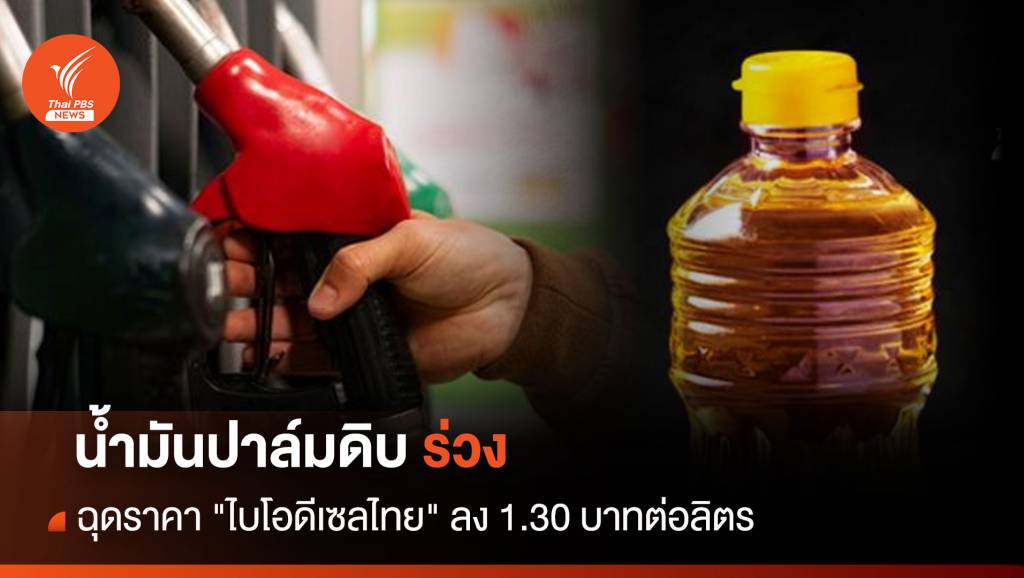น้ำมันปาล์มดิบร่วง ฉุดราคา "ไบโอดีเซลไทย" ลง 1.30 บาทต่อลิตร | Thai ...
