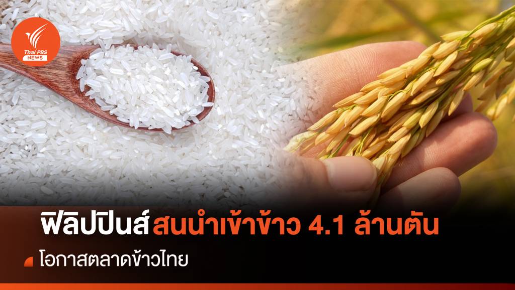 ฟิลิปปินส์ สนใจนำเข้าข้าว 4.1 ล้านตัน โอกาสตลาดข้าวไทย | Thai PBS ...