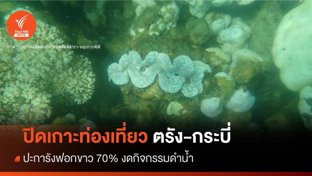 เช็กด่วน! ปิดเกาะท่องเที่ยว “กระบี่-ตรัง” ฟื้นฟูปะการังฟอกขาว