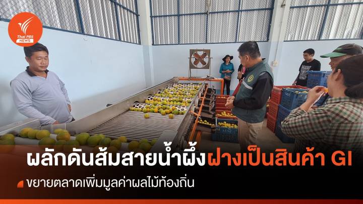 "ส้มสายน้ำผึ้งฝาง" ผลไม้มงคลจากธารน้ำพุร้อน GI เชียงใหม่