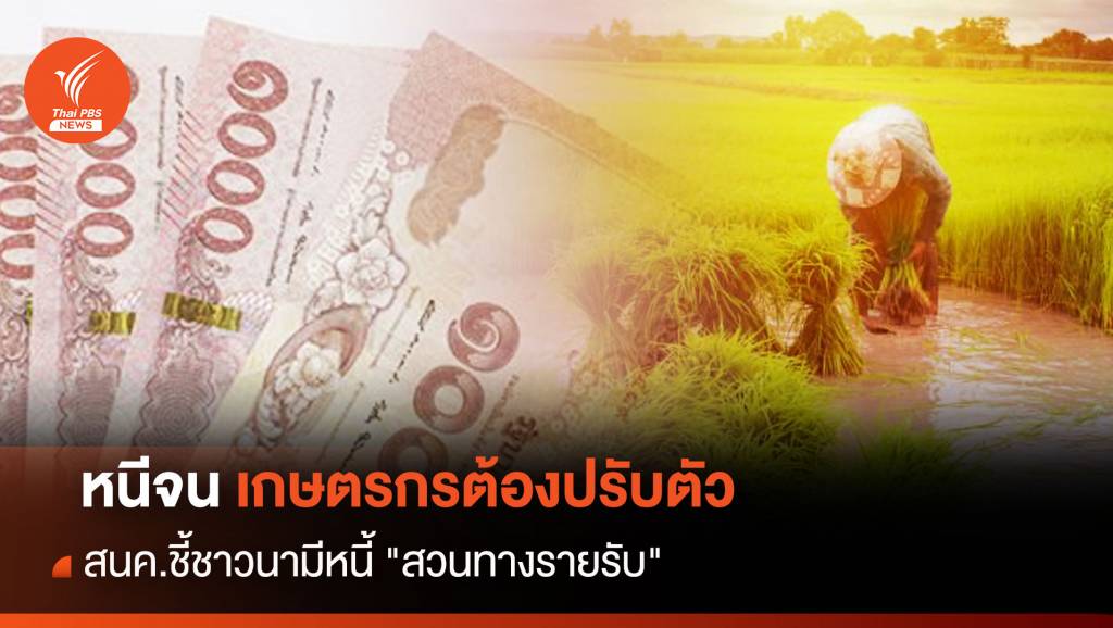 หนีจน ! เกษตรกรต้องปรับตัว สนค.ชี้ชาวนามีหนี้ “สวนทางรายรับ”