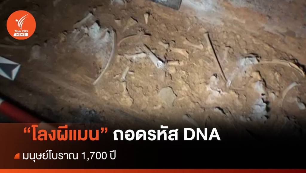 "โลงผีแมน" ถอดรหัส DNA มนุษย์โบราณ 1,700 ปี | Thai PBS News ข่าว ...