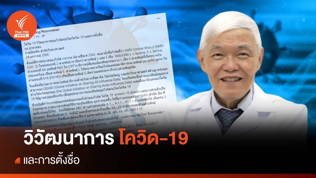 "หมอยง" เปิดวิวัฒนาการก่อโรคโควิด 19 และการตั้งชื่อ | Thai PBS News ...