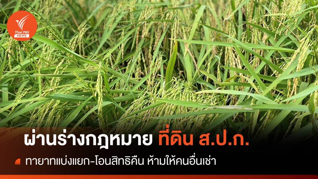 ครม.เคาะร่างกฎหมายแบ่งแยก-โอนสิทธิที่ดิน ส.ป.ก. | Thai PBS News ข่าว ...