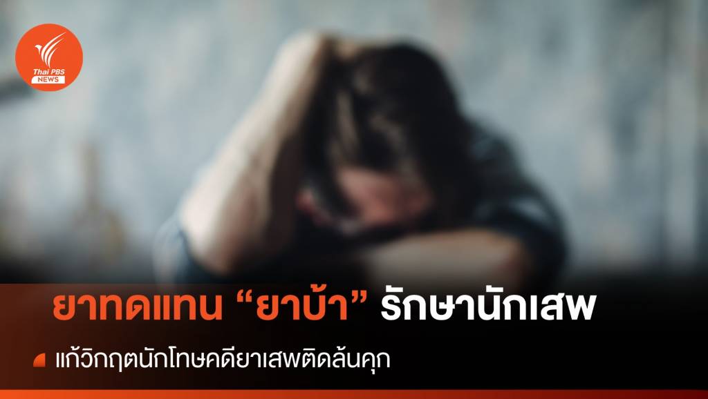 ยาทดแทน “ยาบ้า” รักษานักเสพ แก้วิกฤตนักโทษคดียาเสพติดล้นคุก
