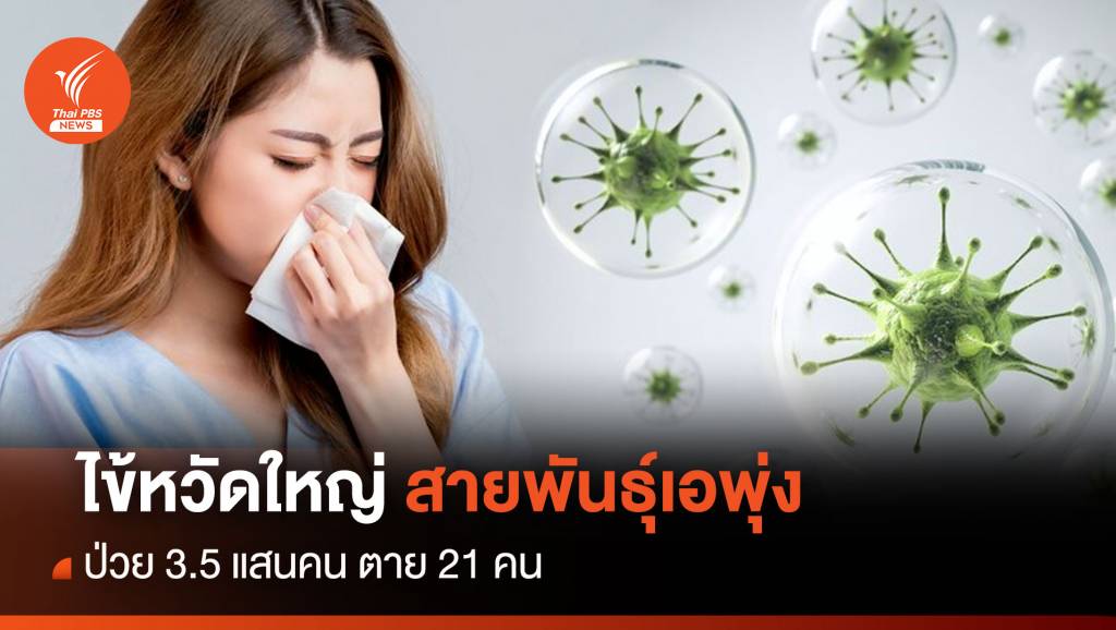 ไข้หวัดใหญ่ สายพันธุ์เอ พุ่งป่วย 3.5 แสนคน ตาย 21 คน | Thai PBS News ...