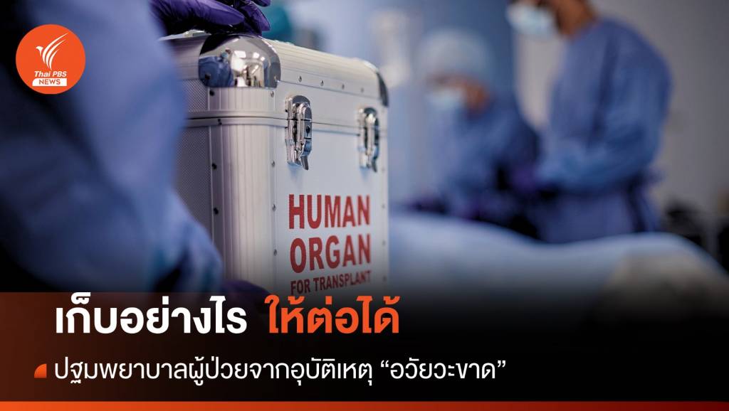 เก็บอย่างไรให้ต่อได้? การปฐมพยาบาลเบื้องต้นผู้ป่วย "อวัยวะขาด" | Thai ...