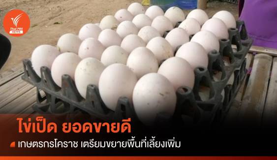 "ไข่ไก่" แพง คนหันซื้อ "ไข่เป็ด" ยอดขายดีจนเกษตรกรโคราชอยากเลี้ยงเพิ่ม