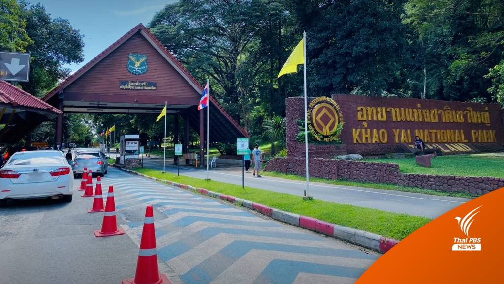 วันนี้ กรมอุทยานฯเปิดให้คนไทยเข้าฟรี เนื่องในวันครอบครัว | Thai PBS ...