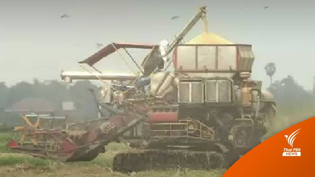 ชาวนาเรียกร้องรัฐบาลชุดใหม่แก้หนี้ครัวเรือนจริงจัง | Thai PBS News ข่าว ...