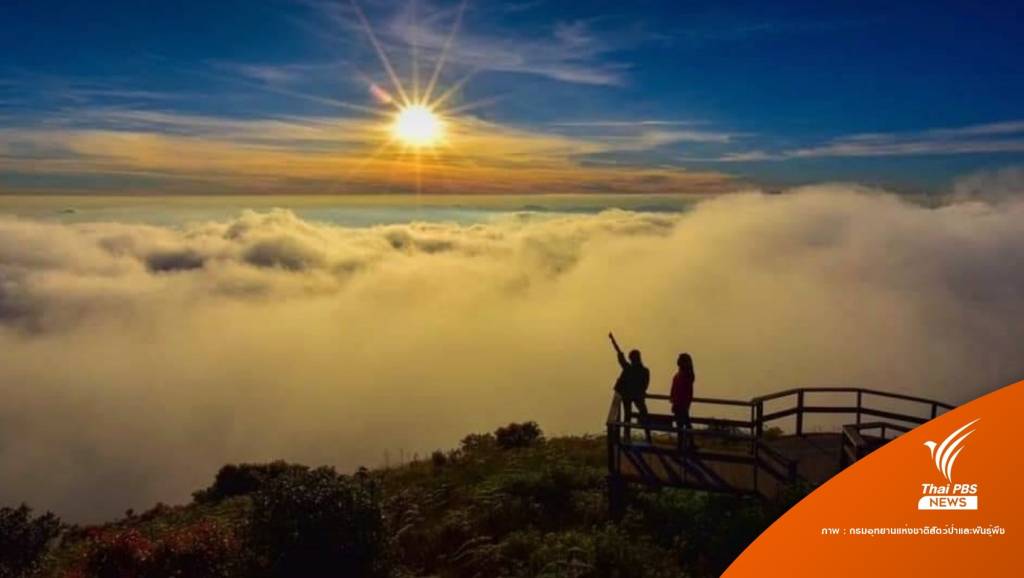 "ดอยอินทนนท์" เปิดรับนักท่องเที่ยวรับลมหนาว 10 พ.ย.นี้ | Thai PBS News ...
