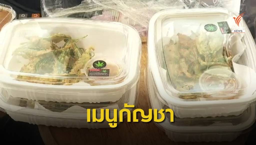เตรียมปลดล็อก "กัญชา-กัญชง" ในอาหารแปรรูป | Thai PBS News ข่าวไทย ...