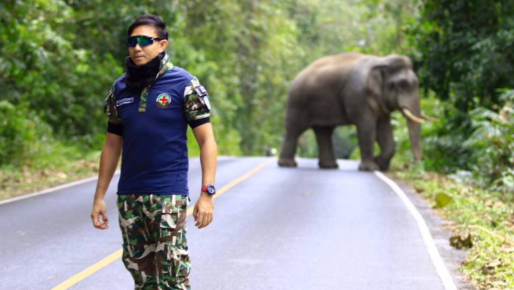 หมอล็อต "ผมอยู่เพื่อรักษาสัตว์ป่า ไม่ใช่รักษาภาพลักษณ์" | Thai PBS News ...
