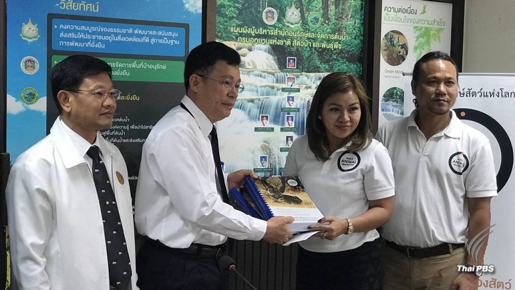 ยื่นกว่า 2 แสนรายชื่อทั่วโลกหนุนถอนใบอนุญาตตั้ง “สวนเสือ”กาญจนบุรี ...