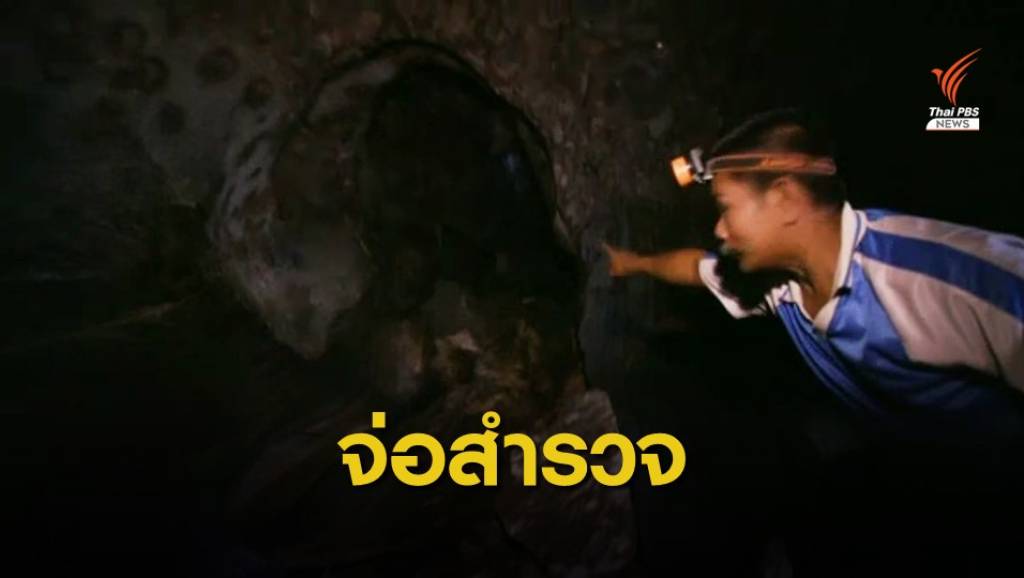 นักวิจัยชี้ยังไม่พบ "ไวรัสโคโรนาสายพันธุ์ใหม่" ในค้างคาวไทย | Thai PBS ...