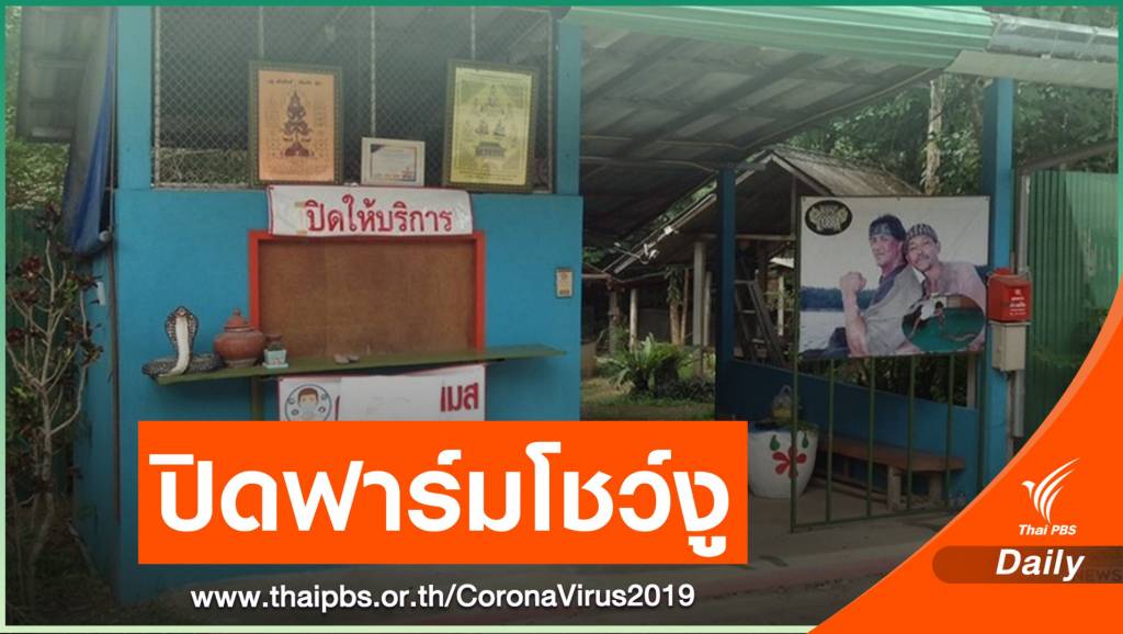 ที พี ไอ โพ ลี น เงินเดือน