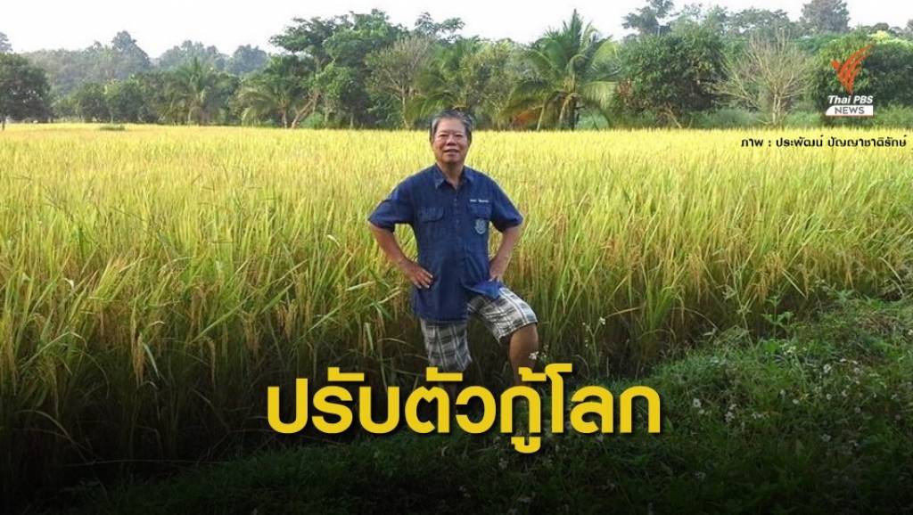 "ประพัฒน์" ผู้พลิกชีวิตเกษตรกรแบบเก่าสู้โลกร้อน | Thai PBS News ข่าว ...