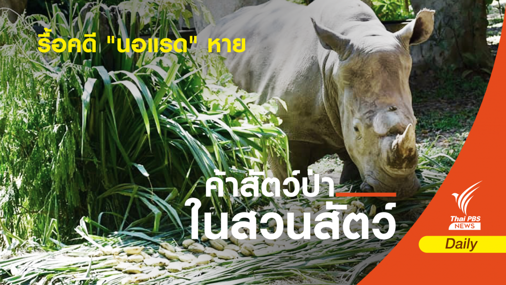 ทำไมต้องรื้อคดี “นอแรด” หายจากสวนสัตว์สงขลา | Thai PBS News ข่าว ...